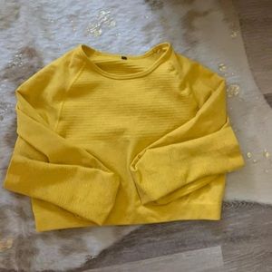 alphalete revival crop top